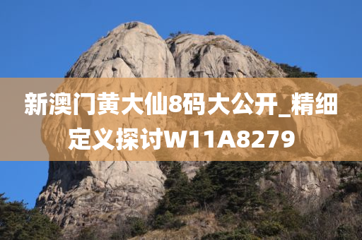 新澳门黄大仙8码大公开_精细定义探讨W11A8279