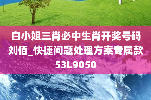 白小姐三肖必中生肖开奖号码刘佰_快捷问题处理方案专属款53L9050