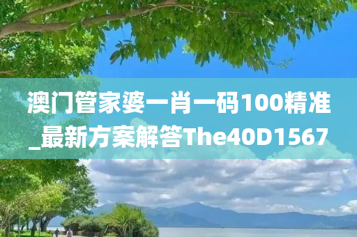 澳门管家婆一肖一码100精准_最新方案解答The40D1567