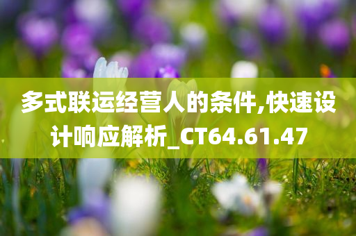 多式联运经营人的条件,快速设计响应解析_CT64.61.47