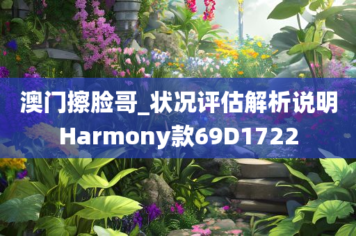 澳门擦脸哥_状况评估解析说明Harmony款69D1722