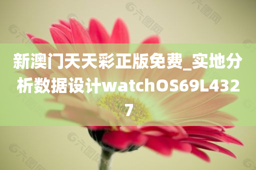 新澳门天天彩正版免费_实地分析数据设计watchOS69L4327