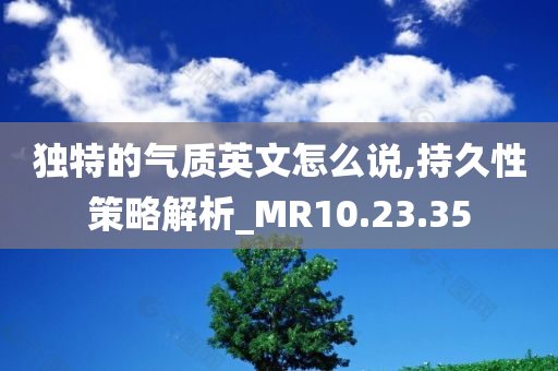 独特的气质英文怎么说,持久性策略解析_MR10.23.35