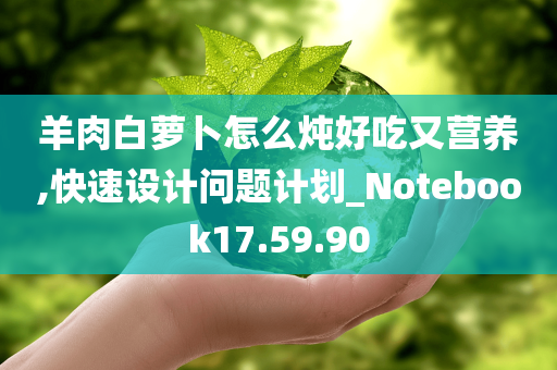 羊肉白萝卜怎么炖好吃又营养,快速设计问题计划_Notebook17.59.90