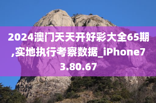 2024澳门天天开好彩大全65期,实地执行考察数据_iPhone73.80.67