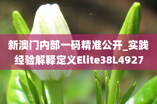 新澳门内部一码精准公开_实践经验解释定义Elite38L4927