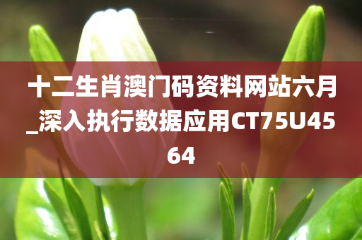 十二生肖澳门码资料网站六月_深入执行数据应用CT75U4564