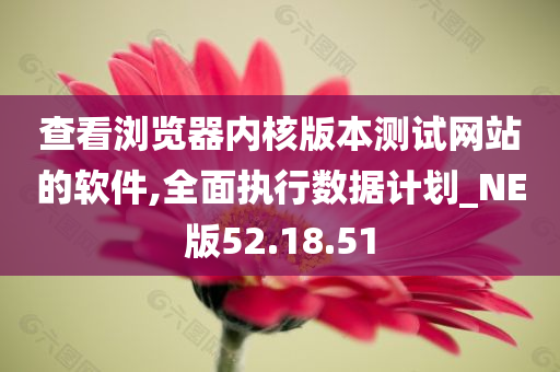 查看浏览器内核版本测试网站的软件,全面执行数据计划_NE版52.18.51