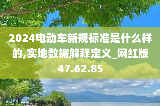 2024电动车新规标准是什么样的,实地数据解释定义_网红版47.62.85