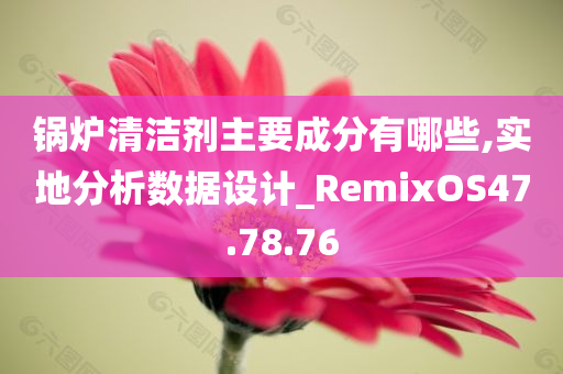 锅炉清洁剂主要成分有哪些,实地分析数据设计_RemixOS47.78.76