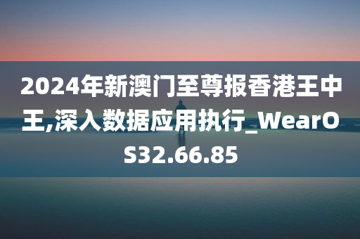 2024年新澳门至尊报香港王中王,深入数据应用执行_WearOS32.66.85