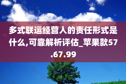 多式联运经营人的责任形式是什么,可靠解析评估_苹果款57.67.99