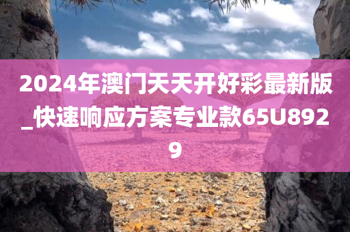 2024年澳门天天开好彩最新版_快速响应方案专业款65U8929