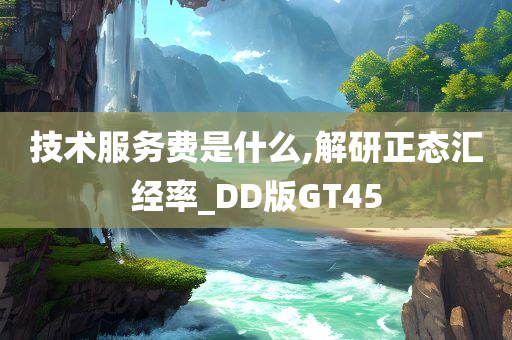 技术服务费是什么,解研正态汇经率_DD版GT45