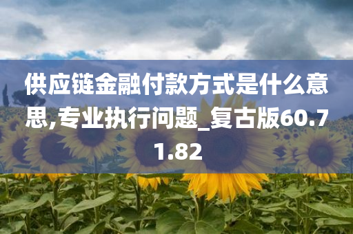 供应链金融付款方式是什么意思,专业执行问题_复古版60.71.82