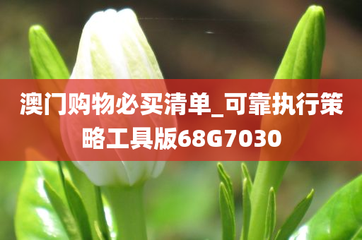 澳门购物必买清单_可靠执行策略工具版68G7030