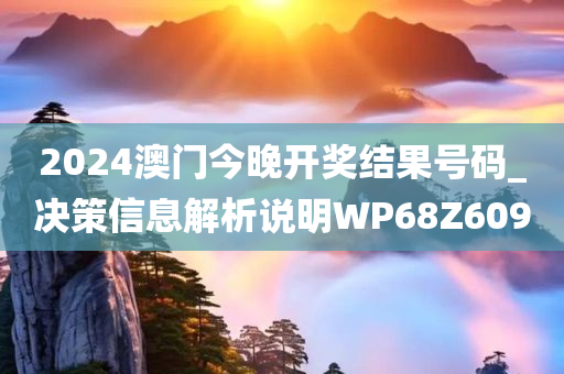 2024澳门今晚开奖结果号码_决策信息解析说明WP68Z6090