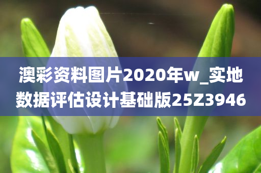 澳彩资料图片2020年w_实地数据评估设计基础版25Z3946