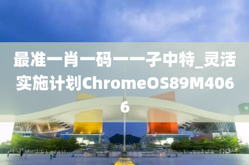 最准一肖一码一一孑中特_灵活实施计划ChromeOS89M4066