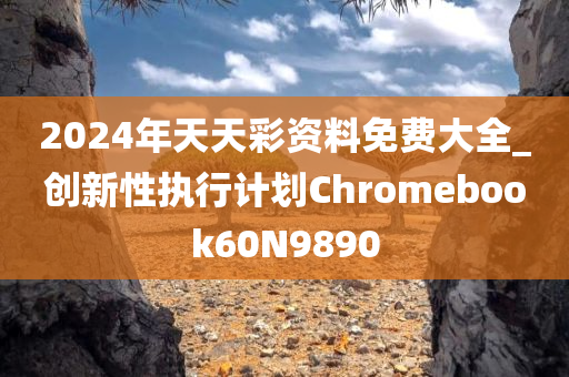 2024年天天彩资料免费大全_创新性执行计划Chromebook60N9890