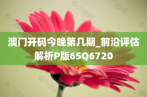 澳门开码今晚第几期_前沿评估解析P版65Q6720