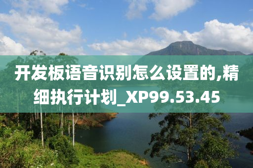 开发板语音识别怎么设置的,精细执行计划_XP99.53.45