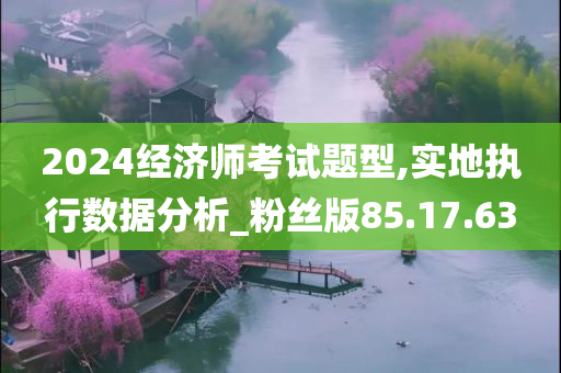 2024经济师考试题型,实地执行数据分析_粉丝版85.17.63