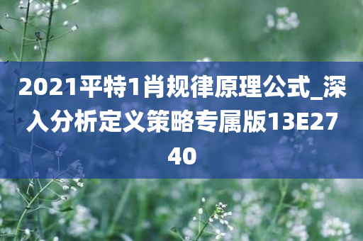 2021平特1肖规律原理公式_深入分析定义策略专属版13E2740