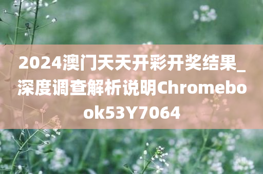 2024澳门天天开彩开奖结果_深度调查解析说明Chromebook53Y7064