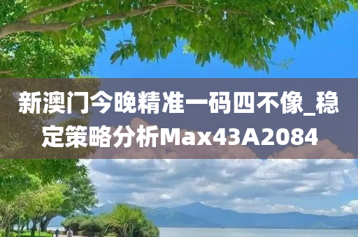 新澳门今晚精准一码四不像_稳定策略分析Max43A2084