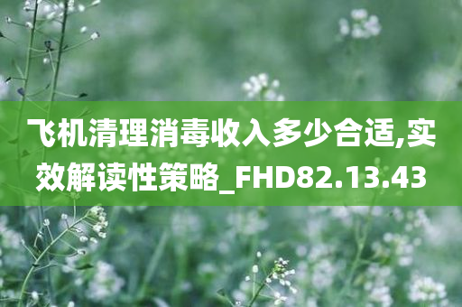 飞机清理消毒收入多少合适,实效解读性策略_FHD82.13.43