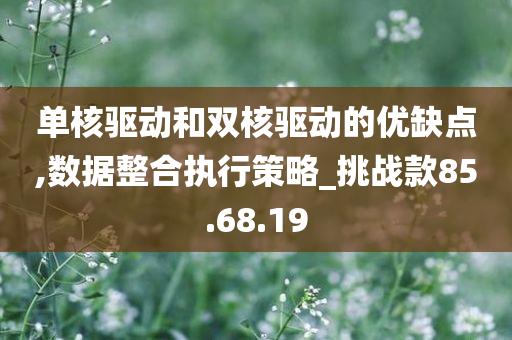 单核驱动和双核驱动的优缺点,数据整合执行策略_挑战款85.68.19