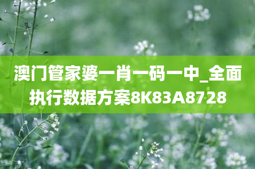 澳门管家婆一肖一码一中_全面执行数据方案8K83A8728