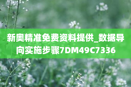 新奥精准免费资料提供_数据导向实施步骤7DM49C7336