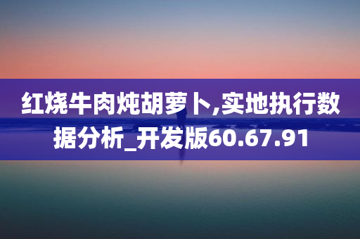 红烧牛肉炖胡萝卜,实地执行数据分析_开发版60.67.91