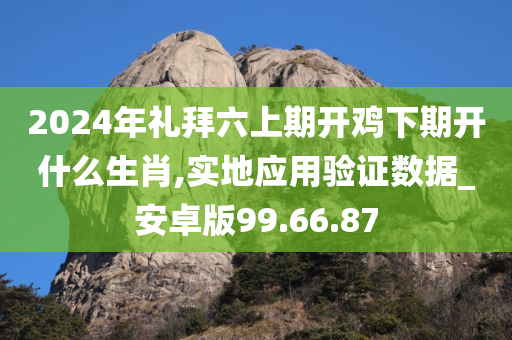 2024年礼拜六上期开鸡下期开什么生肖,实地应用验证数据_安卓版99.66.87