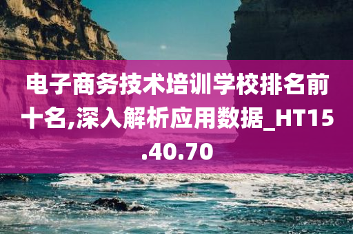 电子商务技术培训学校排名前十名,深入解析应用数据_HT15.40.70