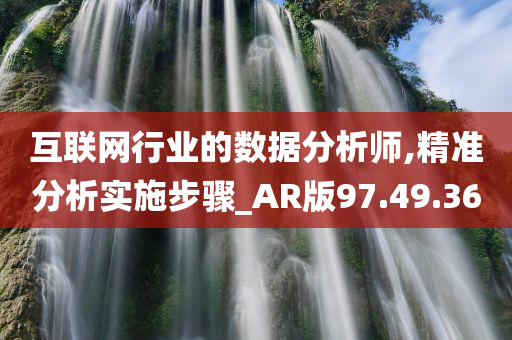 互联网行业的数据分析师,精准分析实施步骤_AR版97.49.36