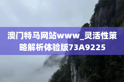 澳门特马网站www_灵活性策略解析体验版73A9225