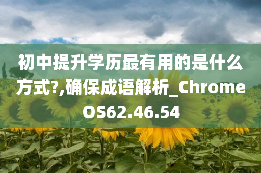 初中提升学历最有用的是什么方式?,确保成语解析_ChromeOS62.46.54