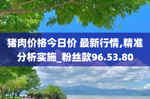 猪肉价格今日价 最新行情,精准分析实施_粉丝款96.53.80