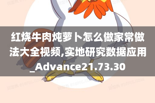 红烧牛肉炖萝卜怎么做家常做法大全视频,实地研究数据应用_Advance21.73.30