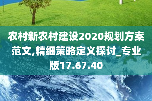 农村新农村建设2020规划方案范文,精细策略定义探讨_专业版17.67.40