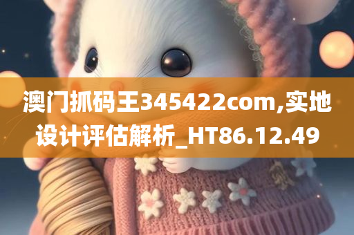 澳门抓码王345422com,实地设计评估解析_HT86.12.49