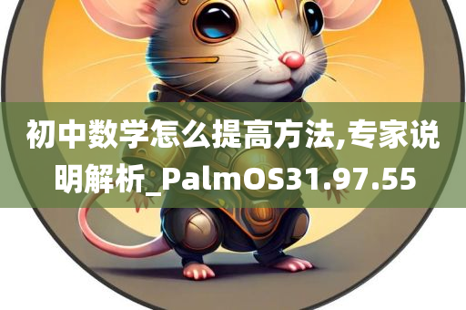 初中数学怎么提高方法,专家说明解析_PalmOS31.97.55