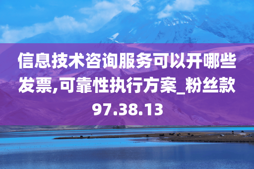 信息技术咨询服务可以开哪些发票,可靠性执行方案_粉丝款97.38.13