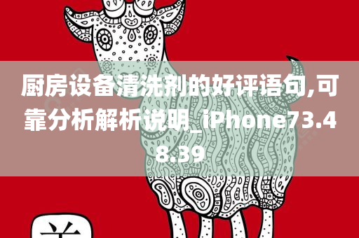 厨房设备清洗剂的好评语句,可靠分析解析说明_iPhone73.48.39