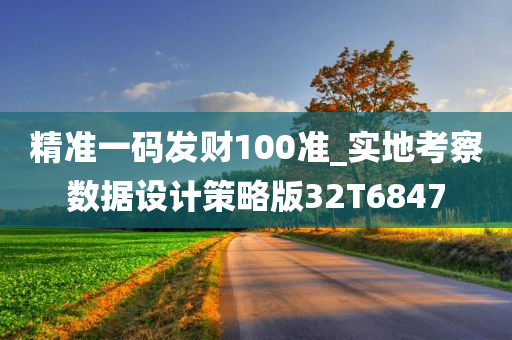 精准一码发财100准_实地考察数据设计策略版32T6847