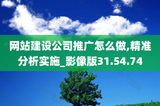 网站建设公司推广怎么做,精准分析实施_影像版31.54.74