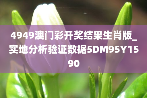 4949澳门彩开奖结果生肖版_实地分析验证数据5DM95Y1590